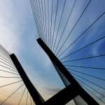 What does the Buyer-Supplier Connection look like in numbers?