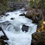 How are you using your downstream channel data?